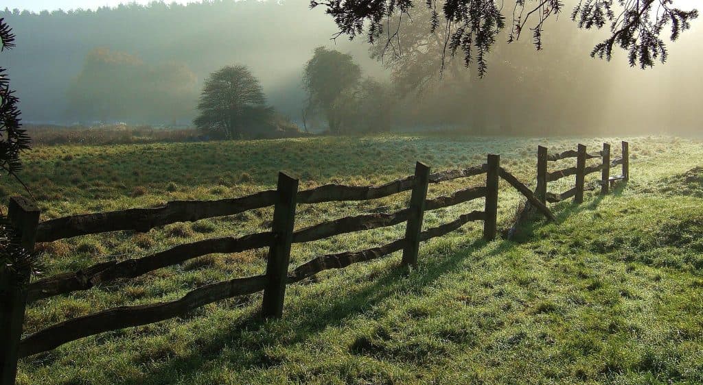 Kako podjetja lahko uporabijo lokalne AI modele za izboljšanje zasebnosti podatkov